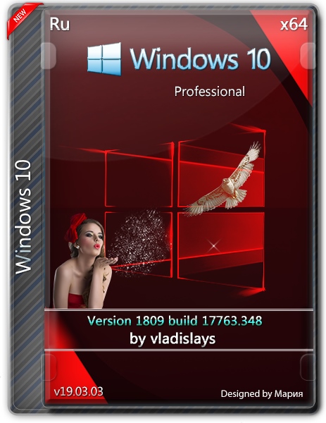 Windows 10 1809 pro