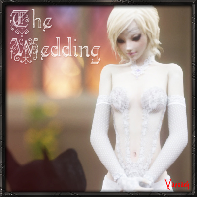 CGS 102 - The Wedding by Vaesark 3D Porn Comic