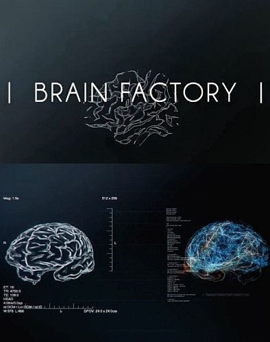 Brain factory