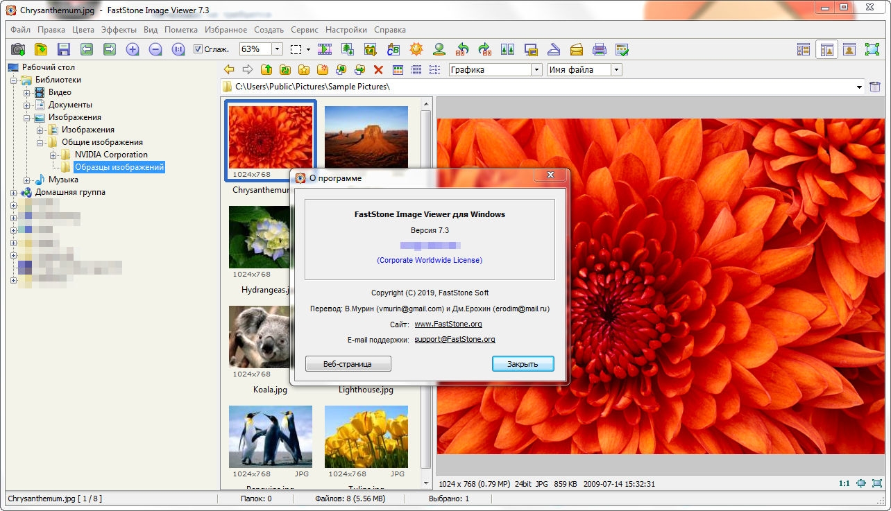 Faststone image viewer русский. FASTSTONE viewer image 64. Программа для просмотра изображений расположение окон. Программа для просмотра изображений красный цветок. FASTSTONE viewer image 64 красный кот.